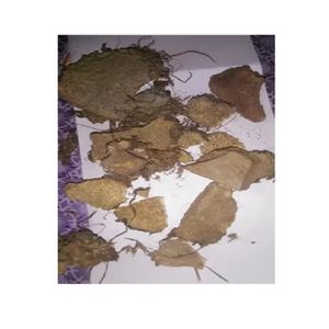 Poudre de racine de Varahi Kand, extrait de plante médicinale cultivée à l'état sauvage de qualité supérieure - Product Image 4