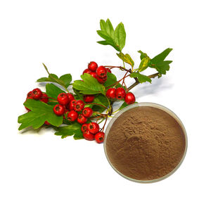순수 천연 하이 퀄리티 호손 베리 추출물 20% ~ 80% 호손 플라본 - Product Image 3