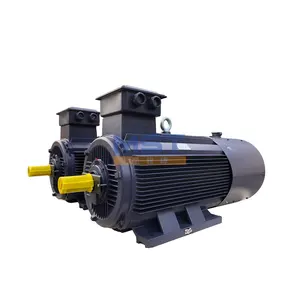 three phase Low Voltage Variable Frequency Speed Adjustable Asynchronous induction AC Motor