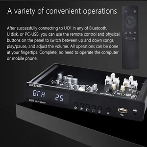 Máy Nghe Nhạc Âm Thanh BRZHIFI U01, Máy Khuếch Đại Âm Thanh HIFI Kỹ Thuật Số Đĩa U Giải Mã 9038 Hỗ Trợ Ứng Dụng Đồng Trục/Quang/BT/Di Động - Product Image 6