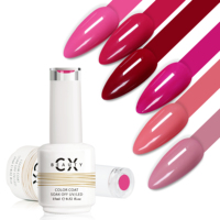 Ensemble de vernis à ongles en Gel Uv rouge, produit cosmétique, bouteille OEM, prix de gros avec 5000 couleurs