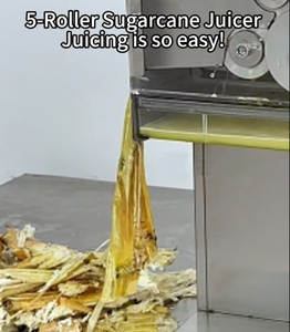 Powerfriend 5 Rolls Stainless Steel Motor Automatic Commercial Fruit Sugarcane Press Machine High Yield Juicer 0.75kw 220v/110v - Product Image 2