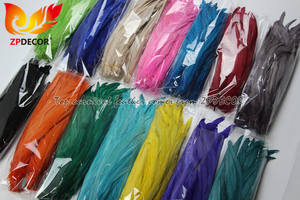 ZPDECOR - Plumas de <span class=keywords><strong>Gallo</strong></span> Coque al por Mayor, 35-40 cm, Teñidas de Turquesa con Verde Lima, para Disfraces de Samba y Carnaval - Product Image 4