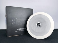Système de sonorisation professionnel, haut-parleur de plafond, tweeter coaxial de 5 à 6,5 pouces, 20W 30W 70V 100V, haut-parleur de musique d'ambiance haute fidélité