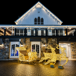 Lumière décorative 3D de rennes et de traîneau de Noël pour créer une scène de conte d'adventures dans les parcs et les espaces événementiels festifs - Product Image 1