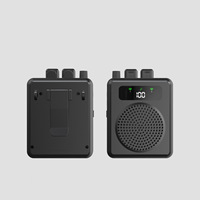 Amplifier Mini Nirkabel 10W Model Pribadi untuk Penggunaan di Rumah dan Luar Ruangan, Satu-ke-Dua Mikrofon Lavalier Kecil Model Lebah, Penerima Plastik untuk Guru