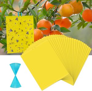 Желтая липкая ловушка 20*25 см, двусторонняя, нетоксичная, для отслеживания и борьбы с тли, белой мушкой в помещениях, теплицах и садах - Product Image 1