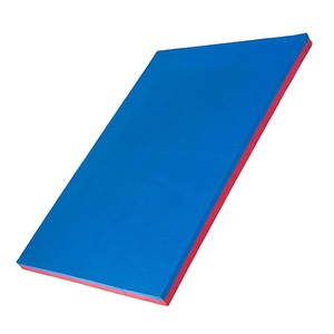 Sansd, precio directo de fábrica, rompecabezas de espuma de impresión ecológica, alfombrilla de Taekwondo de espuma Eva de 2cm de espesor - Product Image 1