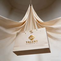 Sac en papier kraft personnalisé pour le commerce de détail, sac de shopping pour vêtements, sac cadeau de luxe avec poignée, mini emballage imprimé avec logo de marque