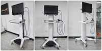 Caméra d'endoscopie médicale portable, endoscopie chirurgicale mobile Full HD pour ORL, gynécologie et système de caméra laparoscopique