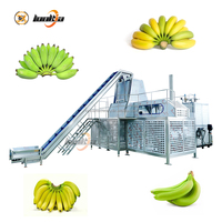 Industriële Weegbree Stoomschilmachine Voor Bananenverwerkingslijn Bananenstoomschiller