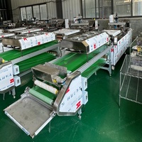 Machine à faire des roti, machine à faire des rouleaux de printemps, ligne de production de crêpes, ligne de production de pain de boulangerie, ligne de production de crêpes