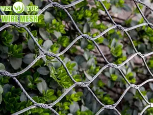 304 316 yüksek mukavemetli paslanmaz çelik kablo tel halat Mesh Net Aviary hayvanat bahçesi tel örgüsü