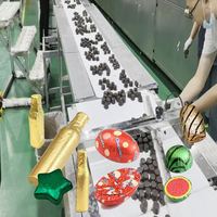 Machine d'emballage universelle en aluminium pour confiseries de formes spéciales, haute efficacité, entièrement automatisée, personnalisable