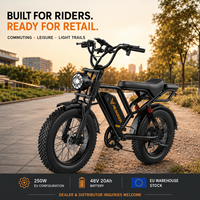 Vélo de montagne tout-terrain BK20, vélo électrique à pneus larges, 250W, 48V, batterie au lithium 20Ah, 20 pouces, vélo électrique pour adultes