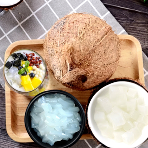 Fournisseur en gros de gelée de noix de coco du Vietnam, Nata de Coco, cubes de gelée de noix de coco de qualité export pour les marchés mondiaux des boissons et des desserts - Product Image 1
