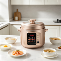 Cuisinière à pression électrique multi-menus 6L, fonctionnement à une touche, pot antiadhésif, cuisinière à pression domestique pour