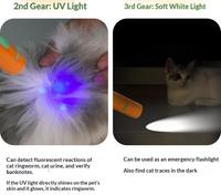Jouet interactif télescopique pour chat en forme de carotte avec plume et clochette, à infrarouge