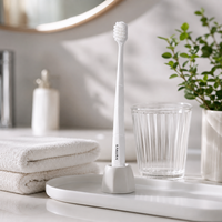 Brosse à dents manuelle personnalisée pour adultes, poils souples en filament PBT, manche ergonomique en plastique, OEM ODM pour usage domestique, vente en gros