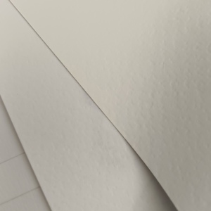 LQW 135 180 240 250 G 787*1092 Mm Ưa Thích Nghệ Thuật Tập Thẻ Trắng Ngà S2 Nổi Kết Cấu Giấy Cho Từ Điển Bìa/Kinh Doanh Thẻ - Product Image 4