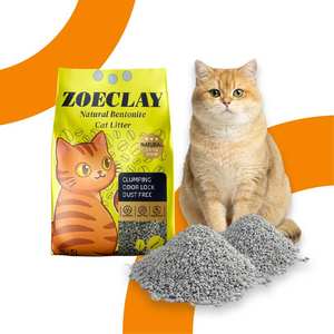XINGMEI Özel Logolu Çevre Dostu Kedi Kumu OEM Koku Kontrolü Hızlı Topaklanan Yeşil Çay Kokulu Ezilmiş Bentonit 5KG - Product Image 1