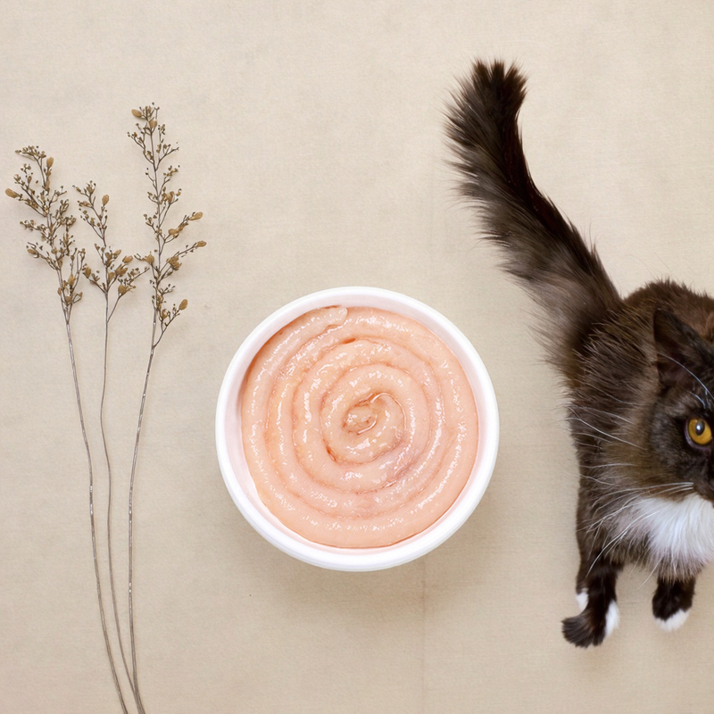 Wet Cat Snack Food Freeze Dried