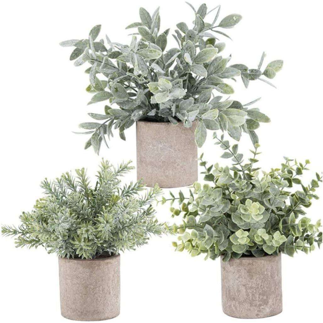 สามชุดค่าผสม