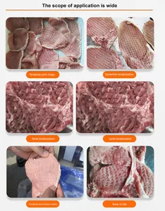 मांस स्टेक के लिए औद्योगिक खाद्य टेंडराइजिंग उपकरण उच्च गुणवत्ता के साथ बीफ टेंडराइजर मशीन इलेक्ट्रिक से मिलते हैं