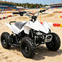 Minimoto de Cuatro Ruedas de Larga Distancia con Freno de Disco Único y Transmisión Automática por Cadena