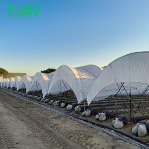 LDPE 6mil 150ไมครอนแผ่นฟิล์มใสเรือนกระจกขนาดใหญ่ที่ทำจากวัสดุ PE - Product Image 6