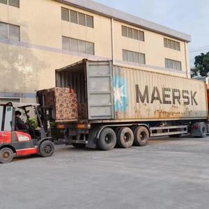 Conception personnalisée gratuite 500g carton haute efficacité élimination des taches lavage savon propre approvisionnement en gros détergent à lessive en poudre - Product Image 5