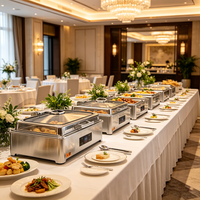 FLEY Chauffe-Plat Électrique Multifonctionnel, Plat de Présentation en Acier Inoxydable, Double Mode de Chauffage pour Hôtels, Restaurants et Événements