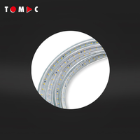 Bande lumineuse LED étanche TOMAC pour chantier de construction, utilisation en extérieur, 220-240V, double face, chaque face 180 LED, 25M, bobine 6000K IP65 IK10