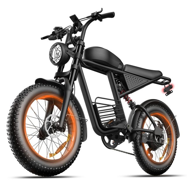20" Electric Bike for Adults with 1000W Peak Dual Motor