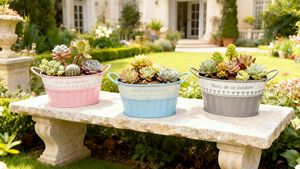 Vente directe d'usine de pots en fer ovales à double anse pour plantes succulentes, idéaux pour décorer les jardins intérieurs et extérieurs. - Product Image 3