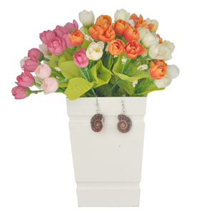 <span class=keywords><strong>Orecchini</strong></span> a conchiglia naturale avvolti in argento a forma di conchiglia <span class=keywords><strong>per</strong></span> donne alla moda stile Charm - Product Image 2