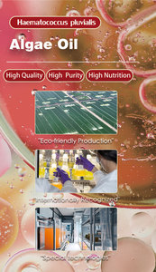 Хетчин лучшие антиоксиданты Премиум + 5% экстракт астаксантина масло 5% экстракт гематококка плувиалиса - Product Image 6