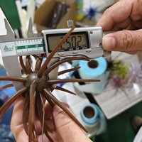 Прямые поставки с завода: Новые приманки TP-E с высокой прозрачностью (95%), повторные заказы, размеры 32мм/25мм/23мм, имитация морского ежа, для крупного окуня.