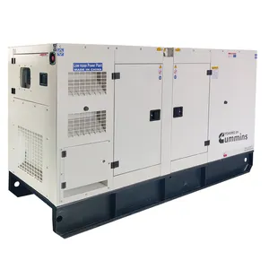 Dingxin-generador de turbina de Gas Natural silencioso e inalámbrico, mejor proveedor de China, 7,5kva, 30kva, 200kw