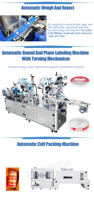 Pochette de Snus en vrac de remplissage automatique de Feibin dans des boîtes de Sibérie Pablo Velo Machine à emballer des boîtes en plastique
