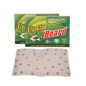 Trampa para Moscas Verdes <span class=keywords><strong>de</strong></span> Fácil Uso, 20 Piezas/Bolsa OPP, con Adhesivo Superfuerte para Oficinas y Hospitales - Product Image 1