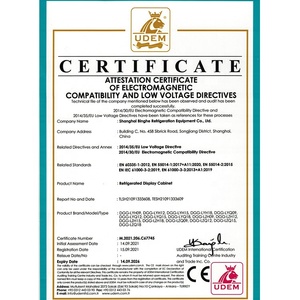 2-Door <strong>Beverage</strong> Fridge with Air Cooler Pepsi <strong>Display</strong> Refrigeration Equipment for Cooling Drinks Occasions - Product Image 3