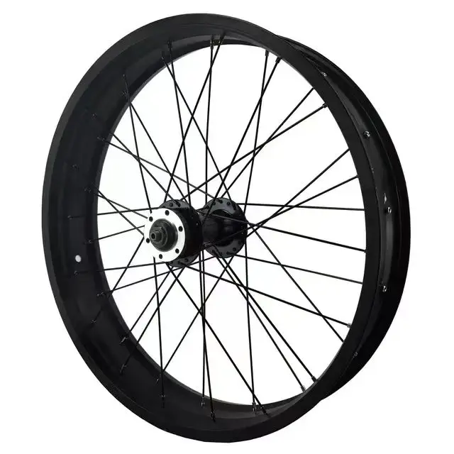 20x4.0 20インチ 36本スポーク 135mmドロップアウト オープンサイズ