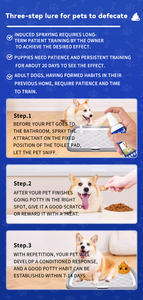 Spray d'apprentissage de la propreté pour chiots 100 ml - Aide efficace à la propreté, corrige les mauvais habitudes de défécation, guide les animaux vers un endroit désigné pour la propreté - Product Image 3
