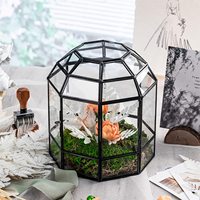 Terrarium de plantes en verre fait à la main, boîte de carte-cadeau, forme de cage d'oiseau, dôme en or noir, Terrarium en verre géométrique