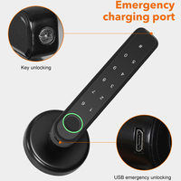 Serrure à poignée électrique Tuya Smart Home Serrure de porte biométrique Inteligente à empreinte digitale Serrure de porte numérique