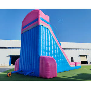 Castillo Inflable Comercial de PVC, Tobogán Gigante de Doble Carril, Color Rosa, para Adultos, Uso en el Hogar y la Escuela - Product Image 2