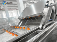 Commerciële apparatuur voor het wassen en reinigen van fruit en groenten, geschikt voor fruit- en groenteverwerkingsbedrijven