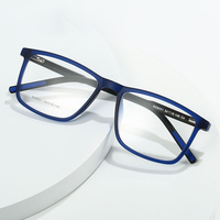 Fournisseur de lunettes en gros, lunettes de sport ultralégères, lunettes carrées surdimensionnées, anti-lumière bleue, monture TR90, lunettes optiques unisexes