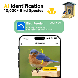 ソーラーWifiカメラAIハチドリ認識カメラ容量バードフィーダー低電力Ipカメラバッテリー付き - Product Image 4